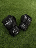 Boxing Gloves Training Pair 1