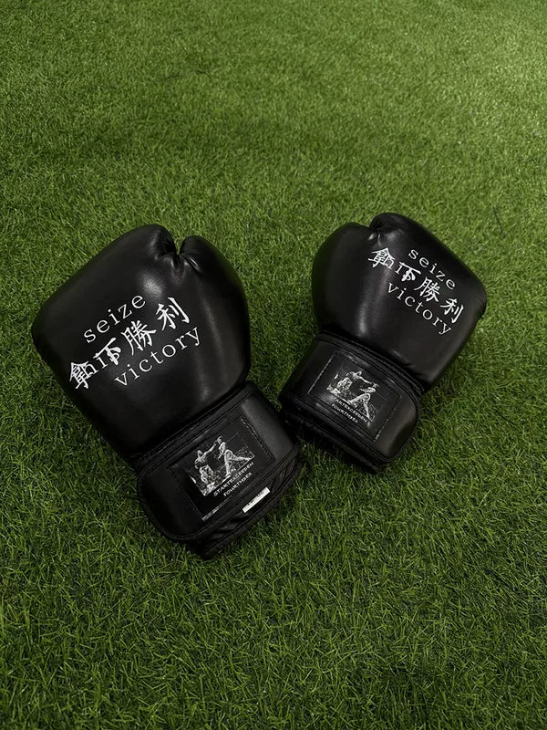 Boxing Gloves Training Pair 1