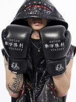 Boxing Gloves Training Pair 2