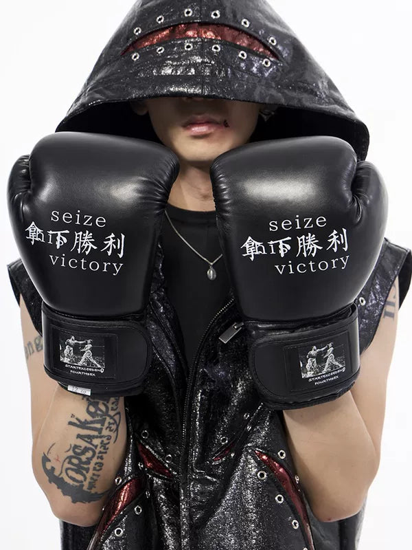 Boxing Gloves Training Pair 2