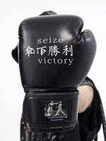 Boxing Gloves Training Pair 3