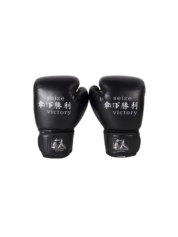 Boxing Gloves Training Pair 5