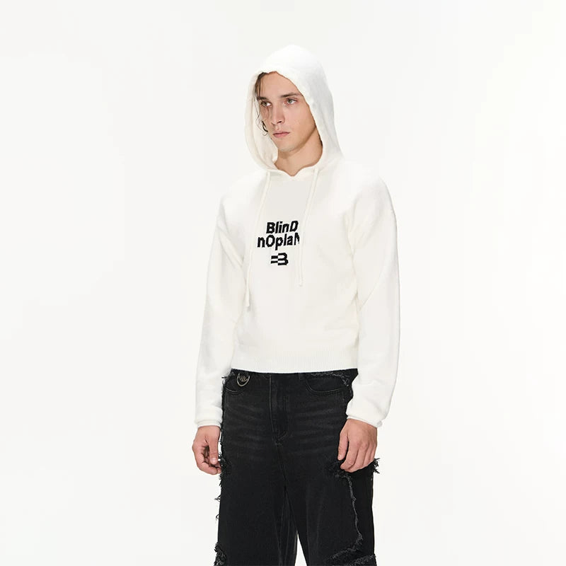 5076256672098,5076256672099,5076256672100,5076256672101, Hooded Logo Knit Pullover Sweater