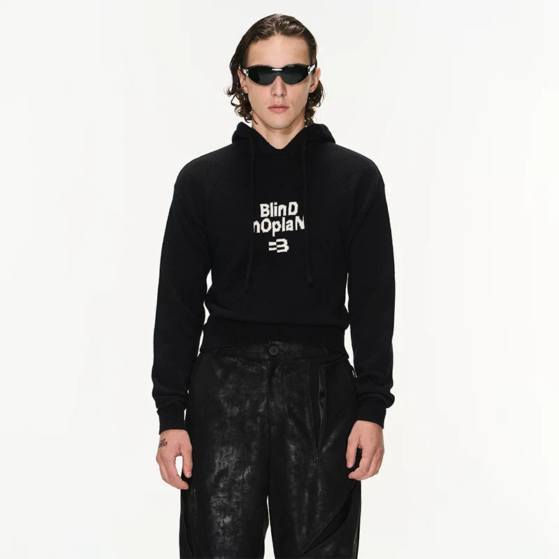 5076256672102,5076256672103,5076256672104,5076256672105, Hooded Logo Knit Pullover Sweater