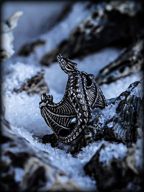 Pterodactyl Titanium Steel Punk Ring 1